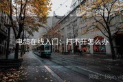 电鸽在线入门：打不开怎么办
