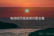 电鸽网页版高频问题合集