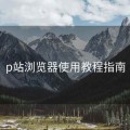 p站浏览器使用教程指南
