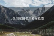 p站浏览器使用教程指南