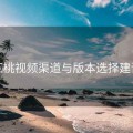红桃视频渠道与版本选择建议