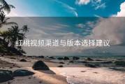 红桃视频渠道与版本选择建议