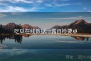 吃瓜在线数据泄露自检要点