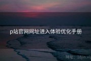 p站官网网址进入体验优化手册