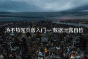 汤不热网页版入门 — 数据泄露自检