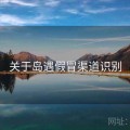 关于岛遇假冒渠道识别