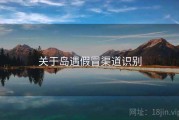 关于岛遇假冒渠道识别