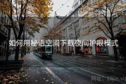 如何用秘语空间下载夜间护眼模式