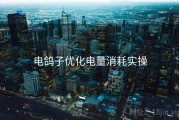 电鸽子优化电量消耗实操