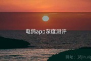 电鸽app深度测评