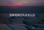 菠萝视频打不开怎么办