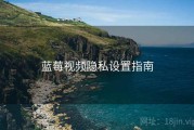 蓝莓视频隐私设置指南