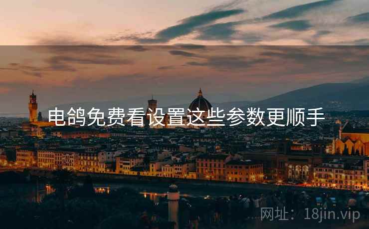 电鸽免费看设置这些参数更顺手