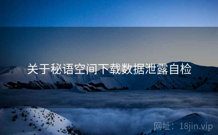 关于秘语空间下载数据泄露自检