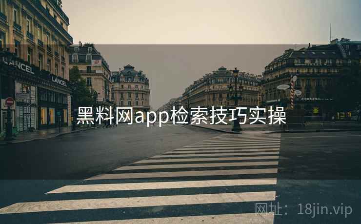 黑料网app检索技巧实操
