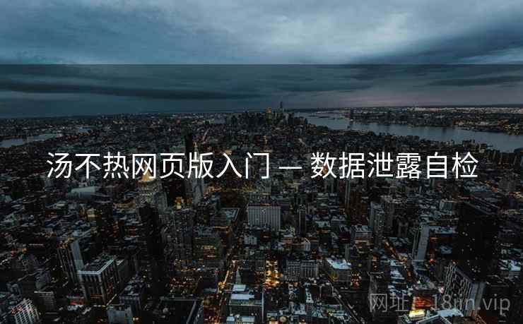 汤不热网页版入门 — 数据泄露自检