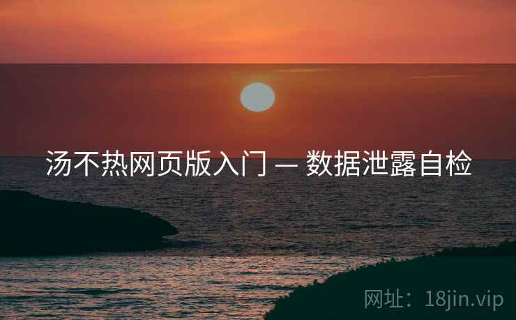 汤不热网页版入门 — 数据泄露自检