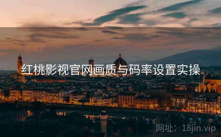 红桃影视官网画质与码率设置实操