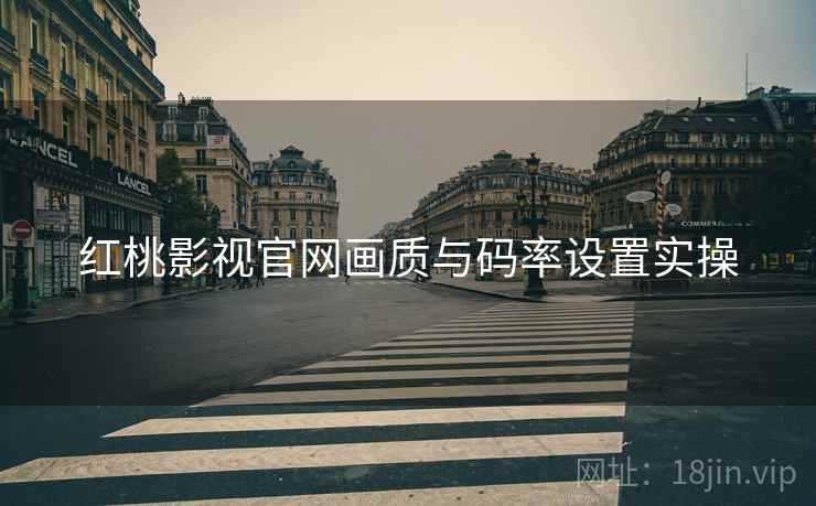 红桃影视官网画质与码率设置实操