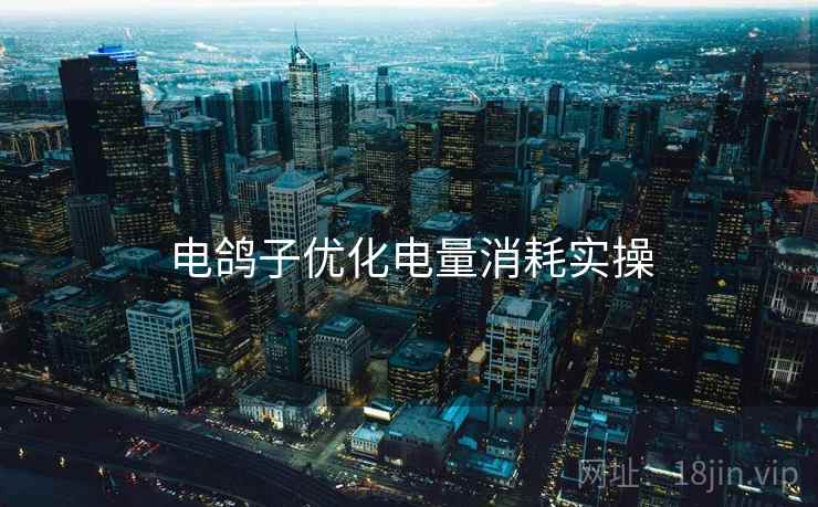 电鸽子优化电量消耗实操