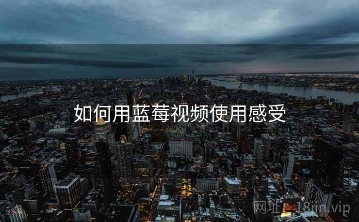 如何用蓝莓视频使用感受