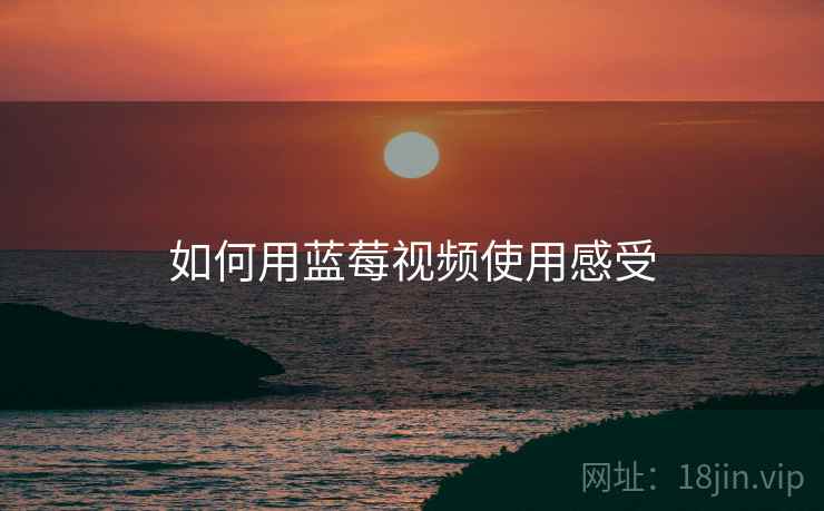 如何用蓝莓视频使用感受