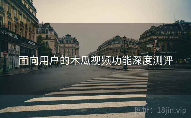 面向用户的木瓜视频功能深度测评