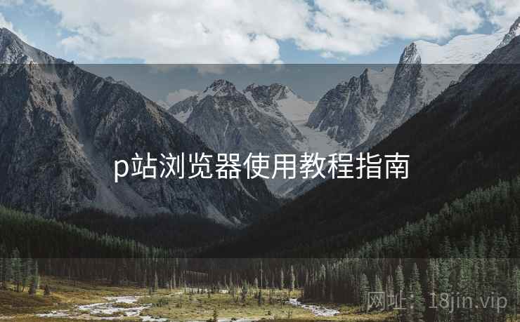 p站浏览器使用教程指南