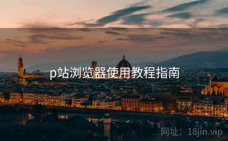 p站浏览器使用教程指南