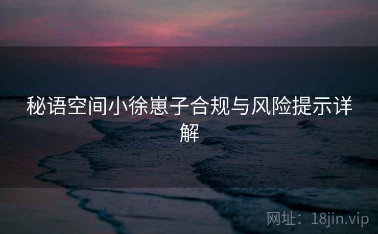 秘语空间小徐崽子合规与风险提示详解