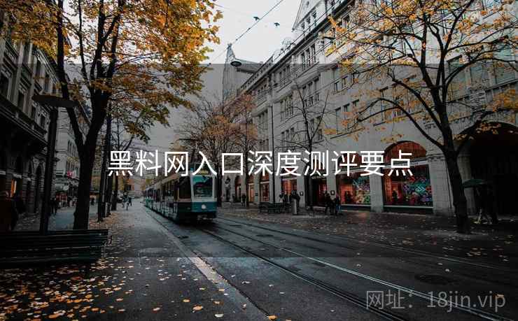 黑料网入口深度测评要点