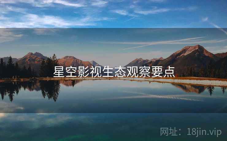 星空影视生态观察要点