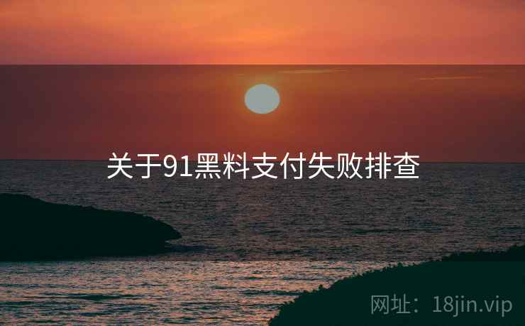 关于91黑料支付失败排查