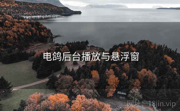 电鸽后台播放与悬浮窗