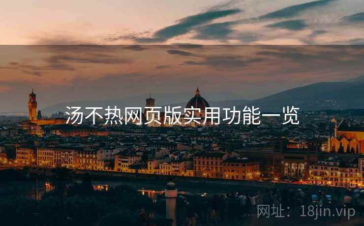 汤不热网页版实用功能一览
