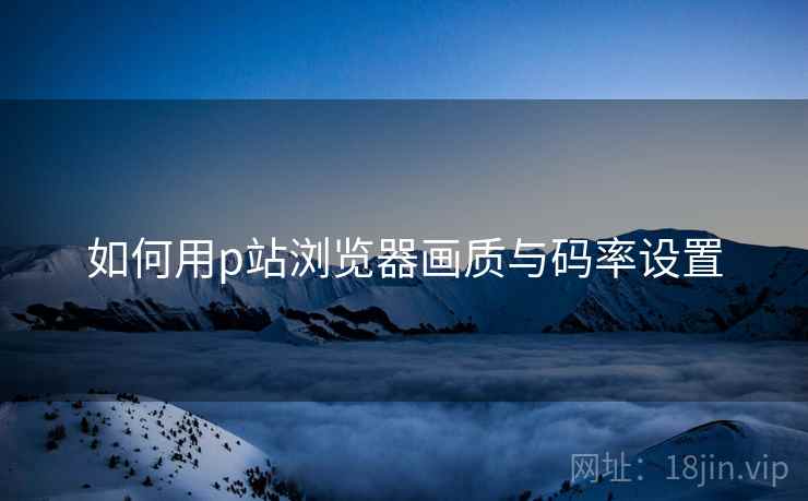 如何用p站浏览器画质与码率设置