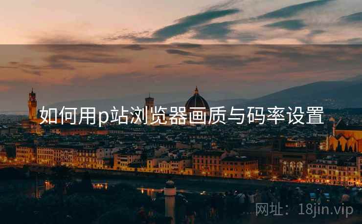 如何用p站浏览器画质与码率设置