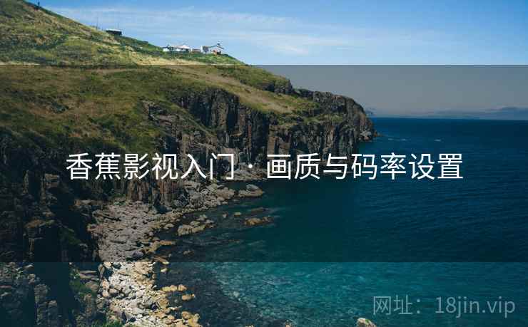 香蕉影视入门 · 画质与码率设置