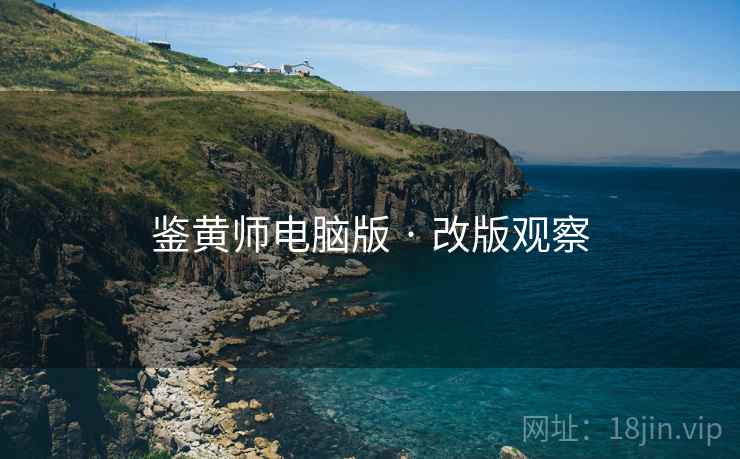鉴黄师电脑版 · 改版观察