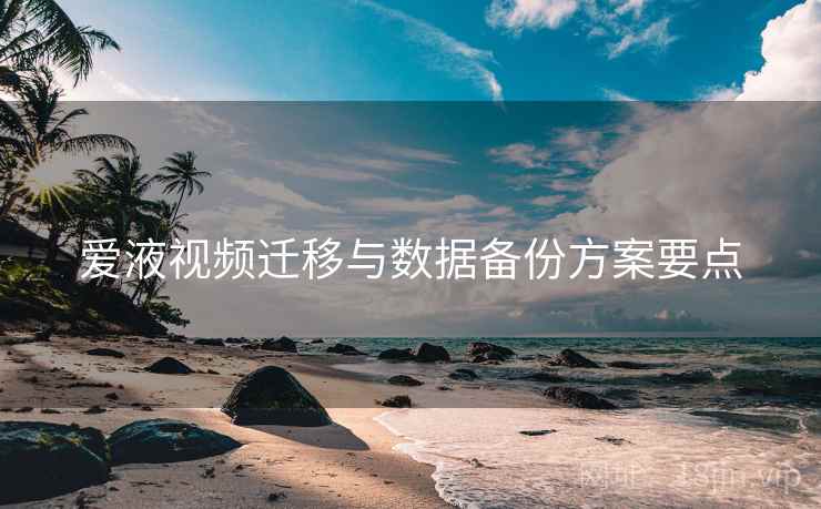 爱液视频迁移与数据备份方案要点