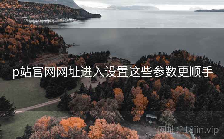 p站官网网址进入设置这些参数更顺手