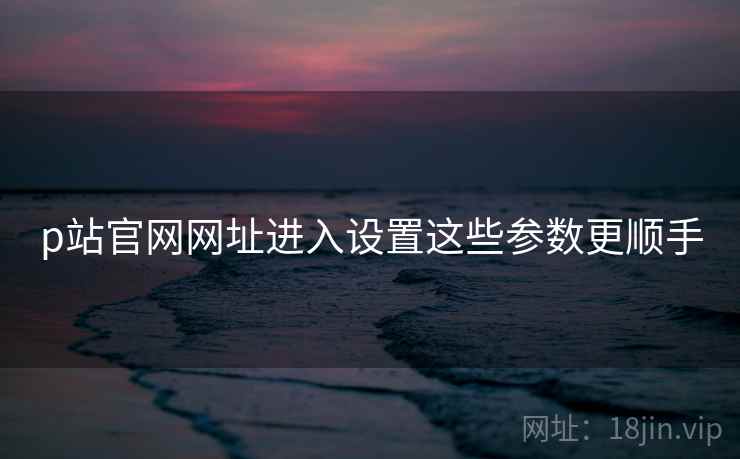 p站官网网址进入设置这些参数更顺手