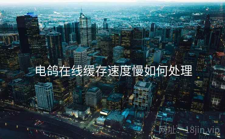 电鸽在线缓存速度慢如何处理