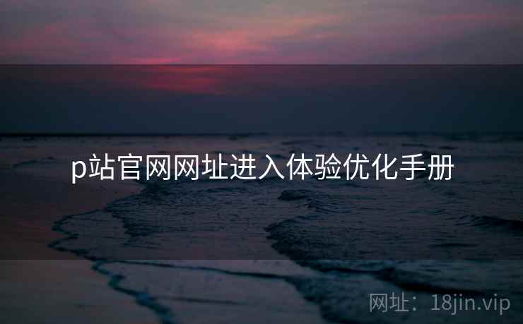 p站官网网址进入体验优化手册
