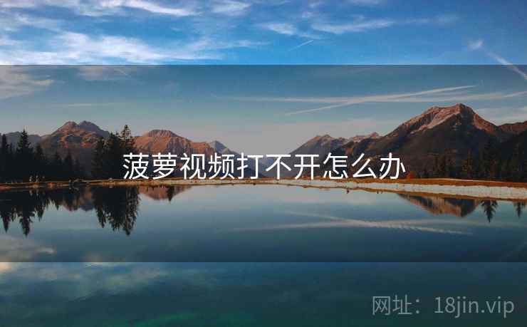 菠萝视频打不开怎么办