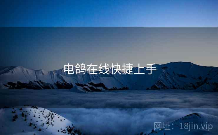 电鸽在线快捷上手