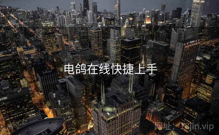 电鸽在线快捷上手
