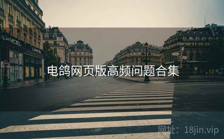 电鸽网页版高频问题合集