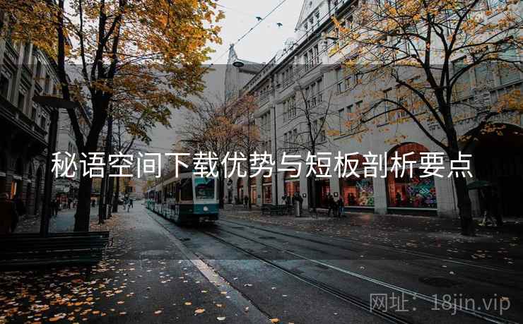 秘语空间下载优势与短板剖析要点