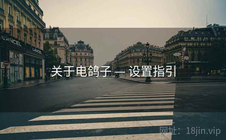 关于电鸽子 — 设置指引
